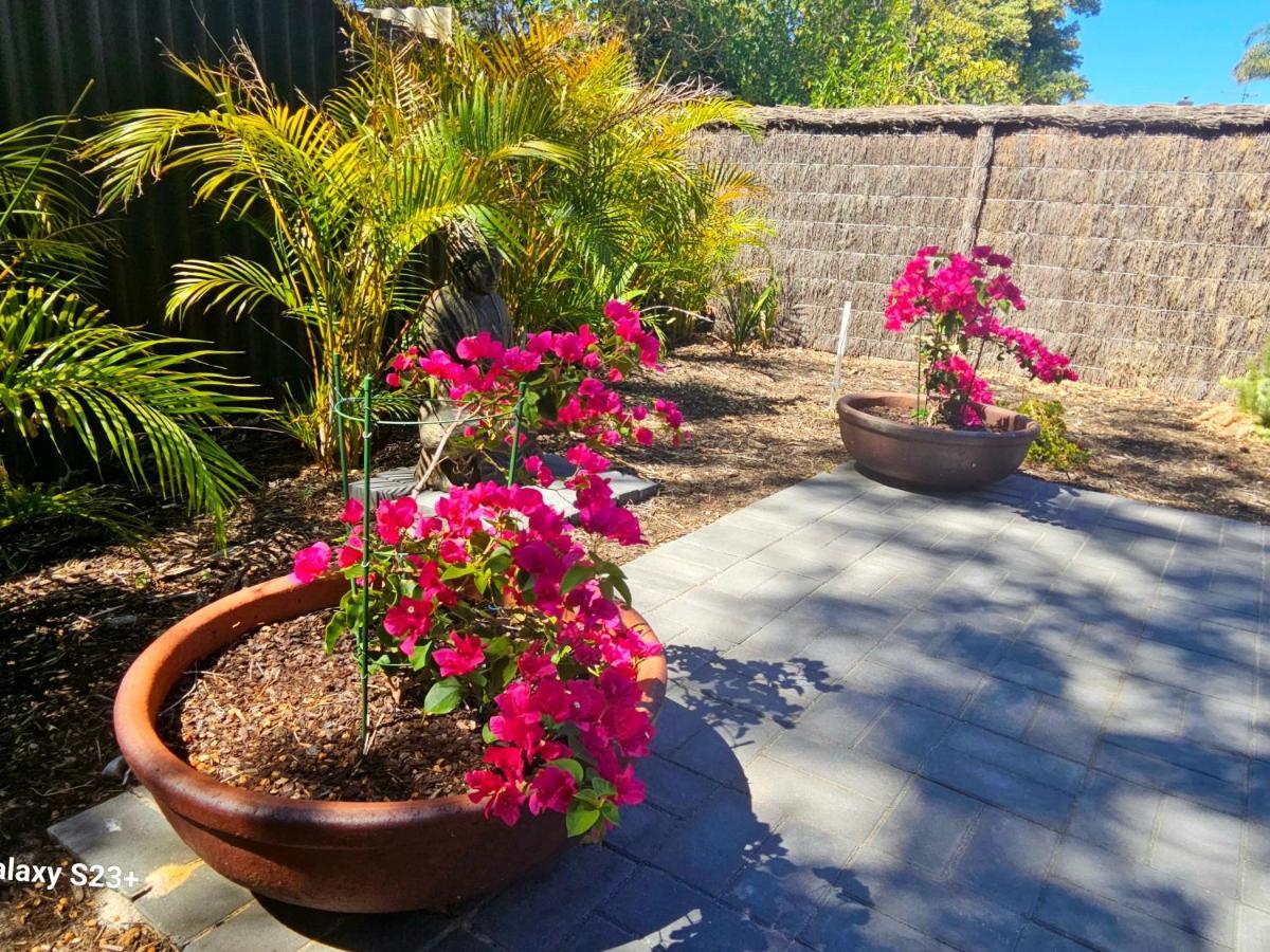 Tranquil Gumnut Cottage - Close To Airport เพิร์ท ภายนอก รูปภาพ
